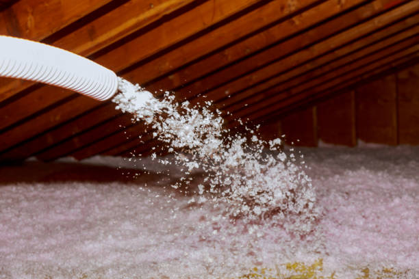 Best Cellulose Insulation in Opelika, AL